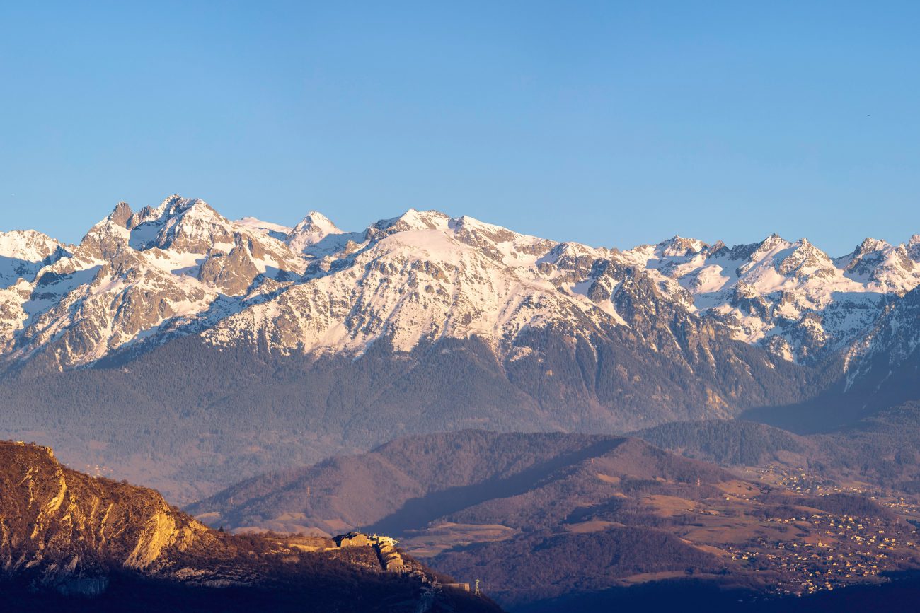 Teccelia / Safilaf - Fleur de vigne - Saint-Ismier